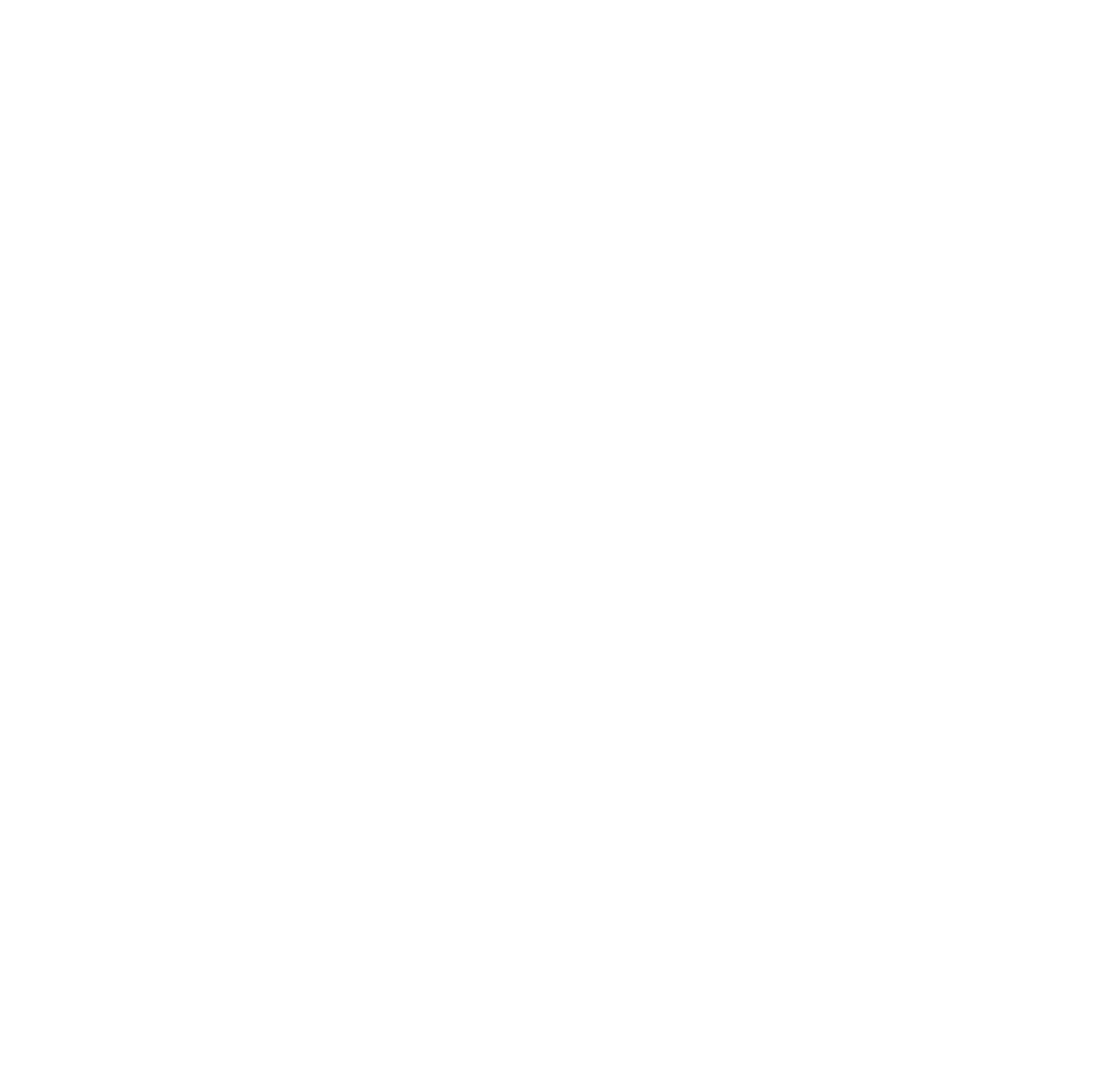 Downtown Professionals Network